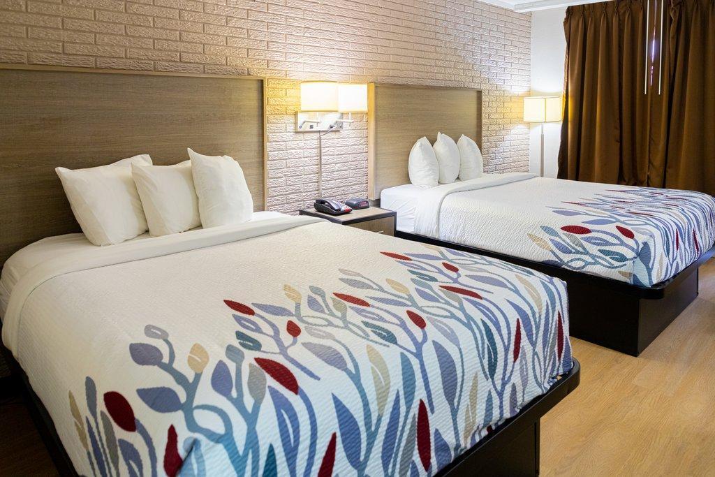 Red Roof Inn Savannah - Richmond Hill I-95 Екстер'єр фото